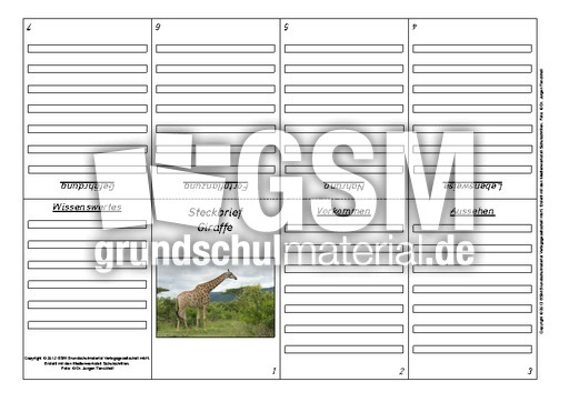 Faltbuch-Steckbrief-Giraffe-1.pdf